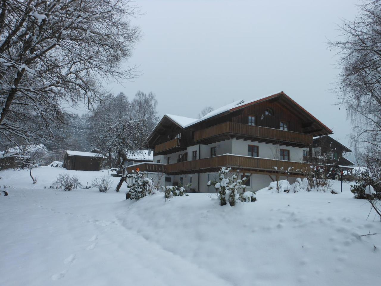 Ferienwohnung Hubertus Bischofsmais Dış mekan fotoğraf