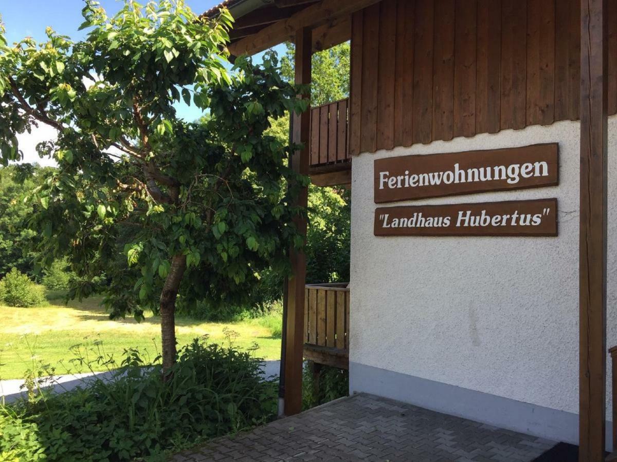Ferienwohnung Hubertus Bischofsmais Dış mekan fotoğraf